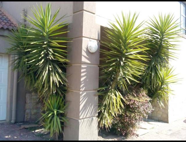 3 BEDROOM PROPERTY TO RENT IN MANTEVREDE